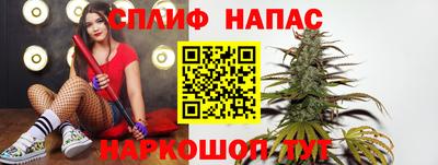 МДПВ Ачхой-Мартан
